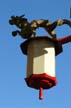 Chinatown Lamps, Chinatown Vancouver