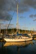 Burrard Inlet Boats, Stanley Park