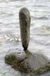 Balanced Stones, English Bay