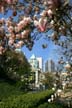 Vancouver Flowers, Robson Square