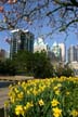 Vancouver Flowers, Robson Square