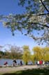 Lost Lagoon Spring, Stanley Park