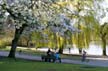 Lost Lagoon Spring, Stanley Park