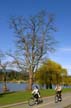 Lost Lagoon Spring, Stanley Park