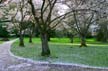 Springtime, Stanley Park