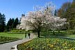 Springtime, Stanley Park