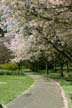 Springtime, Stanley Park