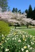 Springtime, Stanley Park