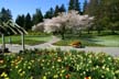 Springtime, Stanley Park