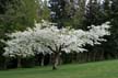 Spring, Canada Stock Photos