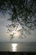 English Bay Landscape, Vancouver