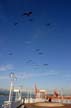 Gulls Flying Over TheCanada Place, Canada Stock Photographs