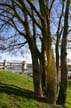 Burrard Bridge, Canada Stock Photographs