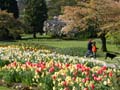 Garden Flowers, Stanley Park