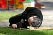 Afternoon Nap, Canada Stock Photographs