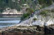 Whytecliff Park, West Vancouver