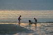 Kids In The Sunset, Downtown Vancouver