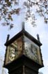 Steam Clock, Historic Gastown