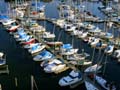 False Creek, Downtown Vancouver