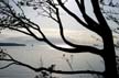 English Bay Landscape, Canada Stock Photographs