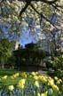 Downtown Parks, Vancouver Gardens