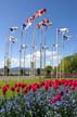 Downtown Vancouver, Canada Stock Photos