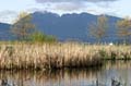 Vancouver Parks, Jericho Park