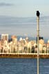 Crow Lookout, Canada Stock Photographs