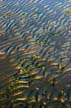 Sand, Canada Stock Photographs