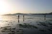 Beach, Canada Stock Photographs