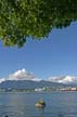 Stanley Park Mermaid, The Girl In The Wetsuit Near Lumberman