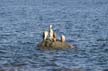 Balanced Stones, English Bay