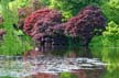 VanDusen Botanical Garden, Vancouver