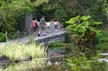 A Family At Park, Canada Stock Photos