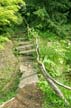 Stanley Park, Canada Stock Photos