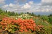 Queen Elizabeth Park, Vancouver Gardens