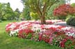 Queen Elizabeth Park, Vancouver Gardens