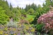 Queen Elizabeth Park, Vancouver Gardens