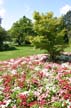 Queen Elizabeth Park, Vancouver Gardens