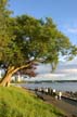 Jogging At Secound Beach Seashore, Canada Stock Photos