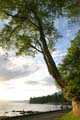 Jogging At Stanley Park Seashore, Canada Stock Photos