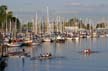 Coal Harbour, Downtown Vancouver