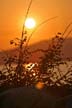 English Bay Sunset, Canada Stock Photos