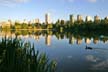 Lost Lagoon, Stanley Park