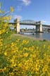 Burrard Bridge, Canada Stock Photographs