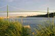 Lions Gate Bridge, Vancouver