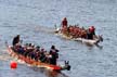 Dragon Boat Festival, False Creek