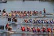 Dragon Boat Festival, False Creek