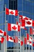 Canada Flag, Canada Stock Photos