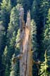 Trees, Canada Stock Photos